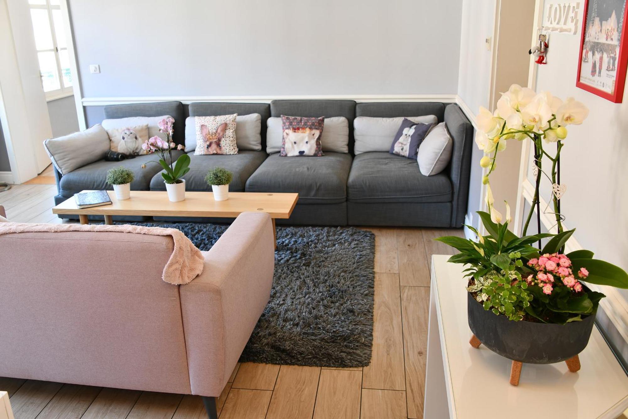 Appartement The Fairytale - Petite Venise Κολμάρ Εξωτερικό φωτογραφία